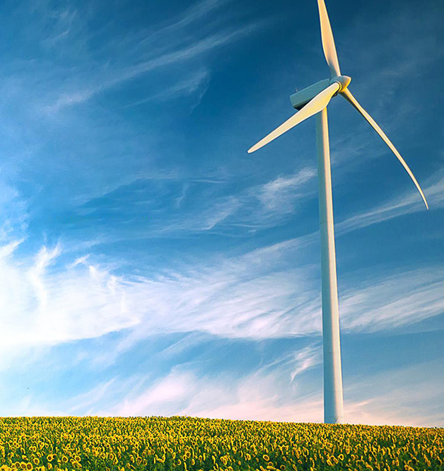 Công ty TNHH sản xuất lõi sắt Thái Châu Tianli