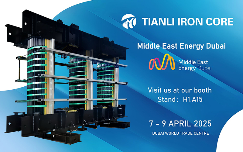 Công ty TNHH sản xuất lõi sắt Thái Châu Tianli